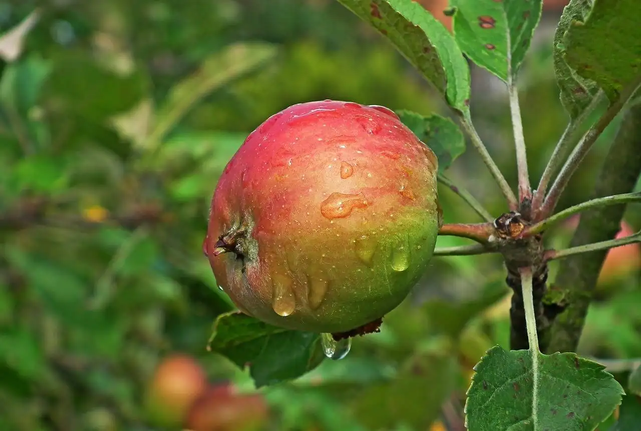 The Role of Exercise in Managing Stress