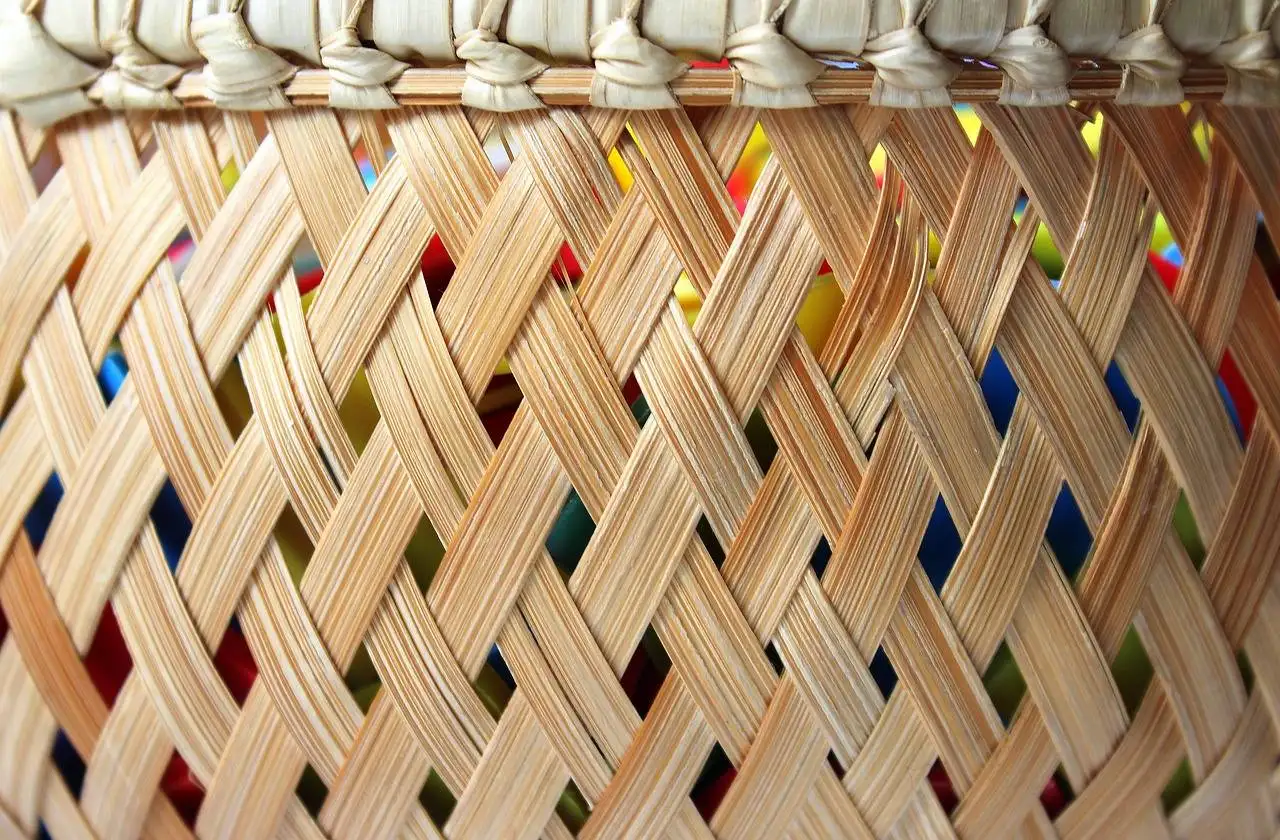 The Future of Personalized Nutrition: Customized Shopping for Health Goals