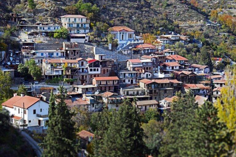 Designing a Functional and Stylish Outdoor Dining Area: Tips for Al Fresco Entertaining